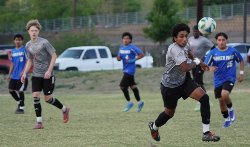 BV All Stars